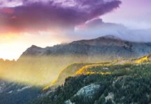 How We Keep Our Circadian Rhythms from Drifting