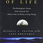 rhythms of life