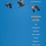 seasons of life